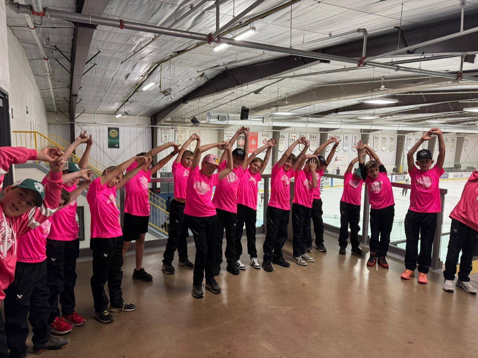 U12A_pink3.jpeg