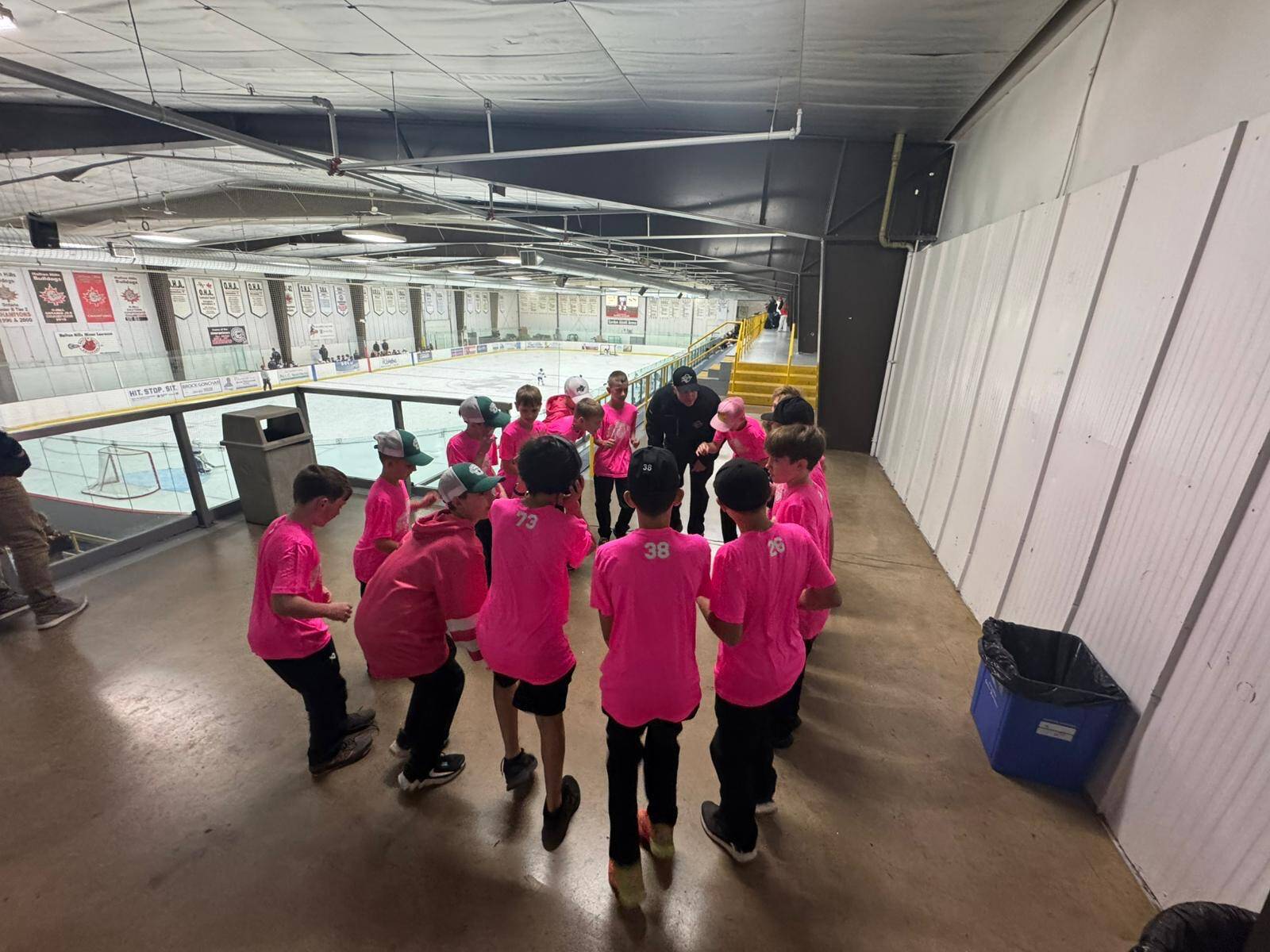 U12A_pink4.jpeg
